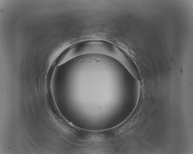 X0000063460248200601271611