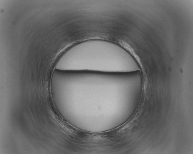 X0000063460249200601271611