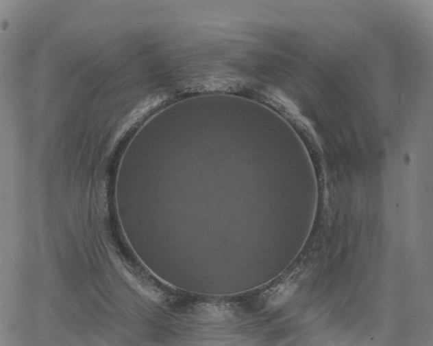 X0000063460250200601271611