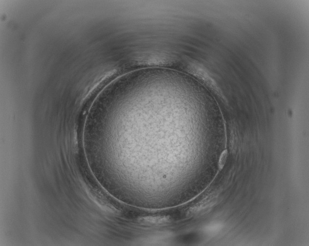 X0000063460251200601271611