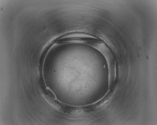 X0000063460252200601271611