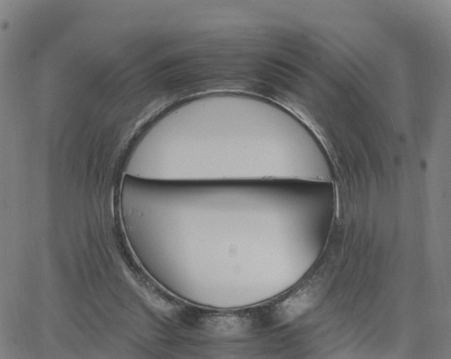 X0000063460253200601271611