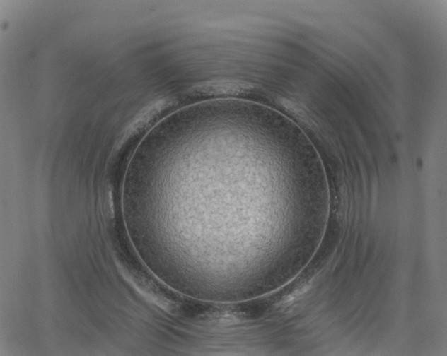 X0000063460254200601271611