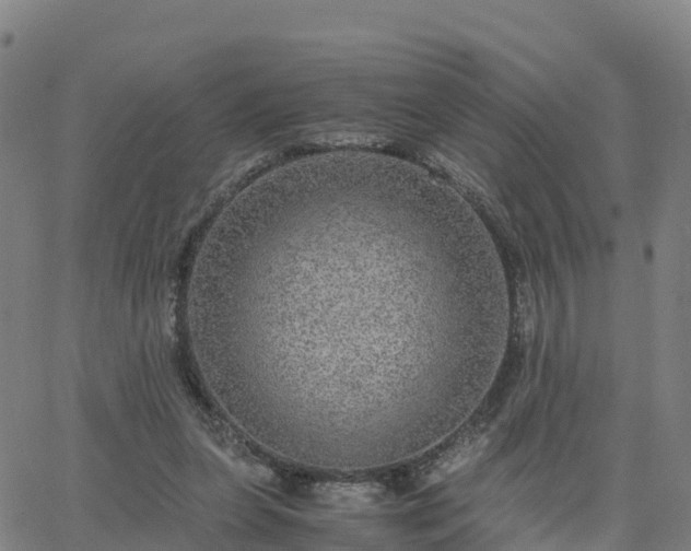 X0000063460255200601271611