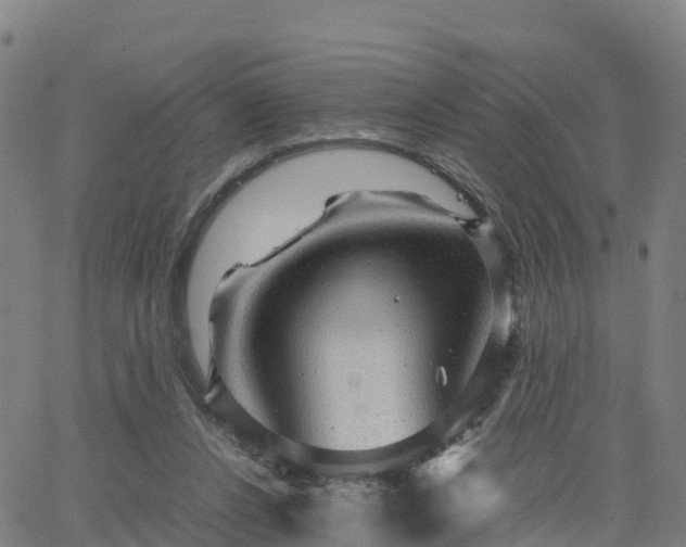 X0000063460256200601271611