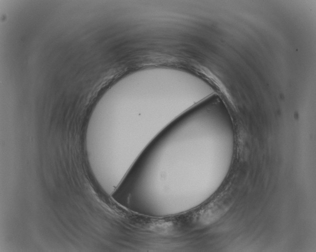 X0000063460257200601271611