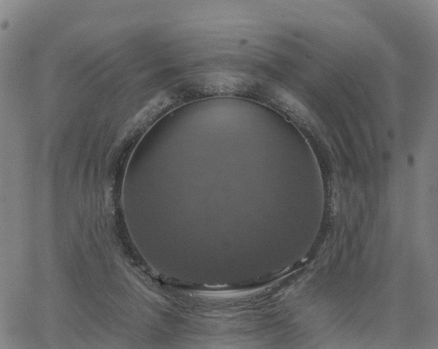 X0000063460258200601271611