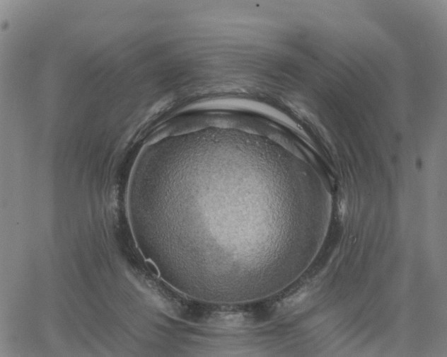 X0000063460260200601271612