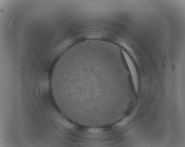 X0000063460261200601271612