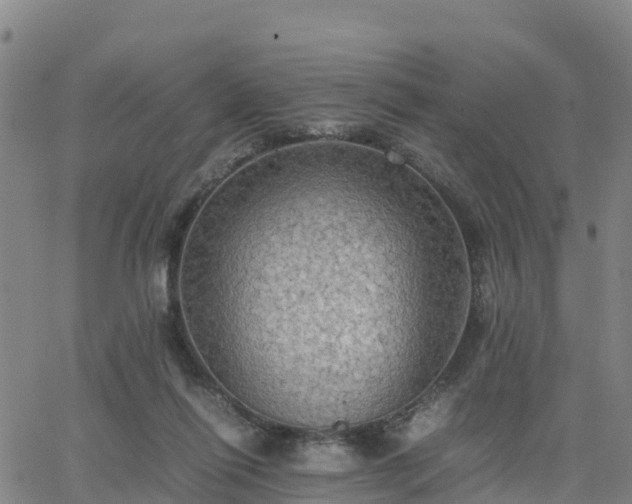 X0000063460262200601271612