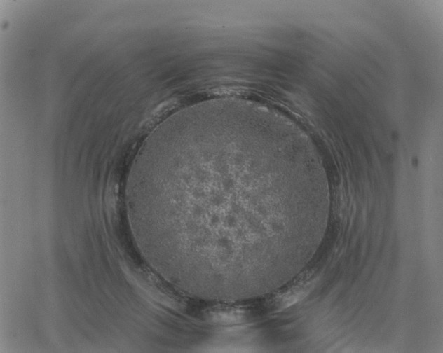 X0000063460263200601271612