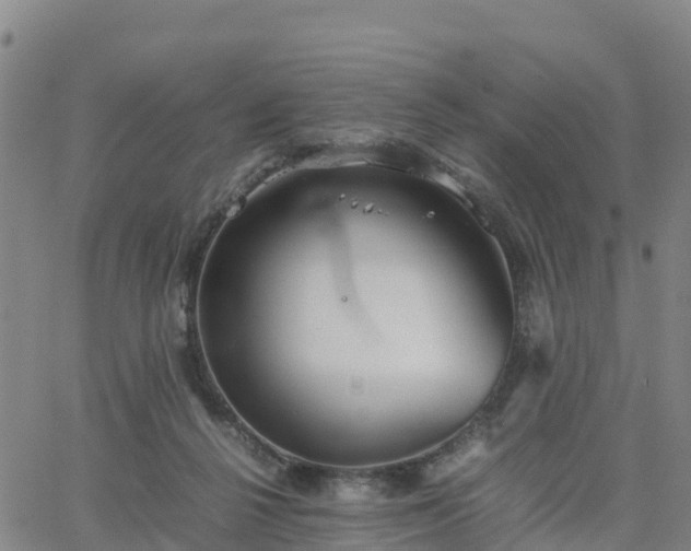 X0000063460264200601271612