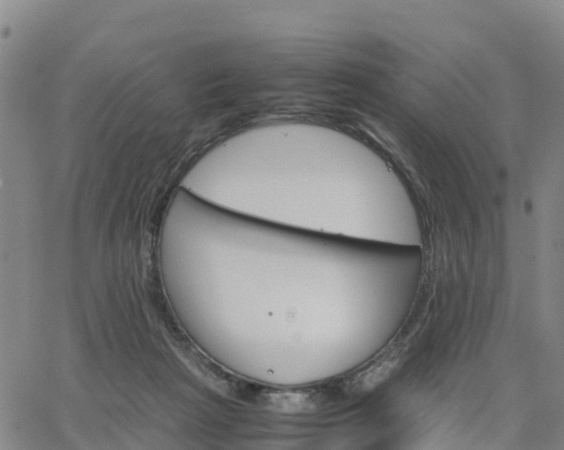 X0000063460265200601271612