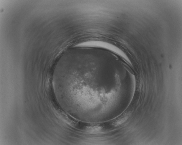 X0000063460266200601271612