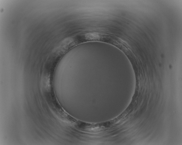 X0000063460267200601271612