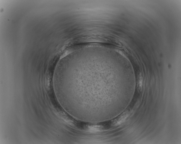 X0000063460268200601271612