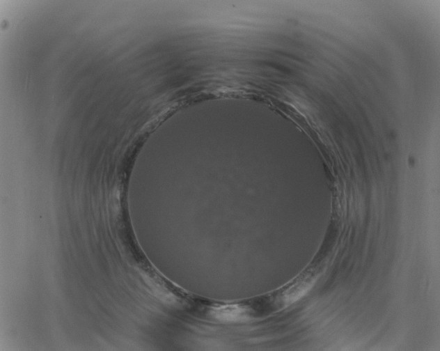 X0000063460269200601271612