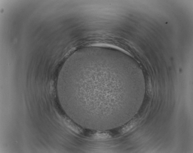 X0000063460270200601271612