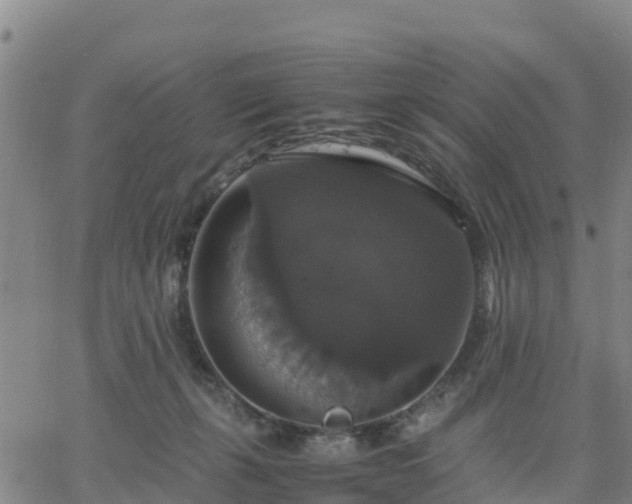 X0000063460271200601271612