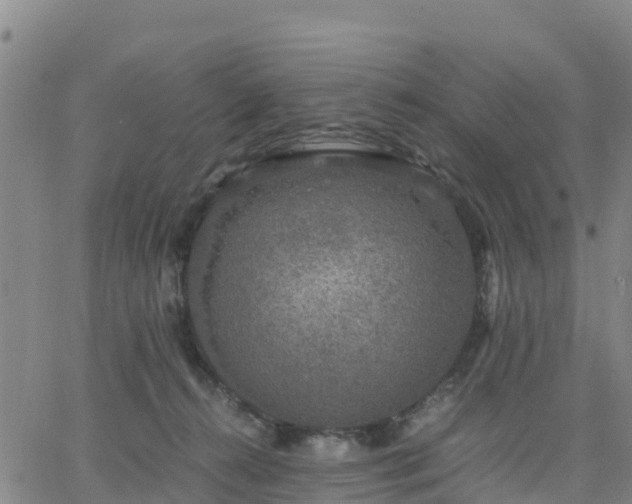 X0000063460272200601271612