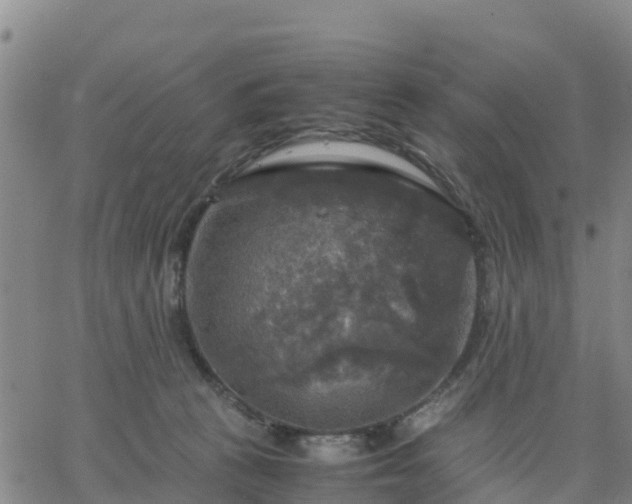 X0000063460273200601271612