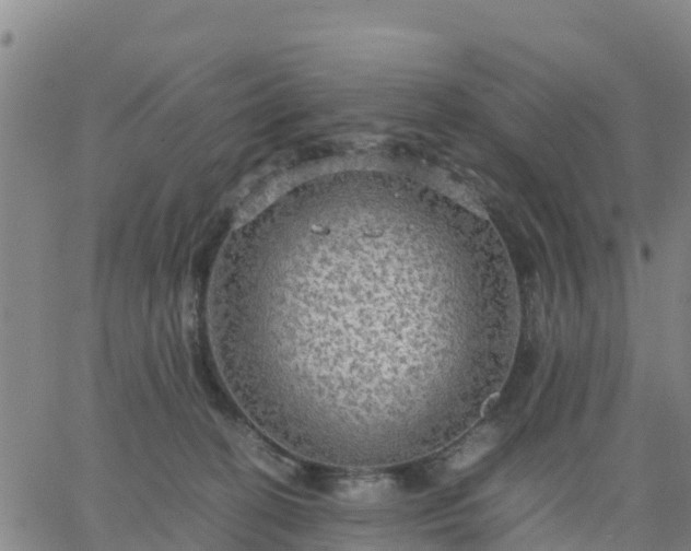 X0000063460274200601271612