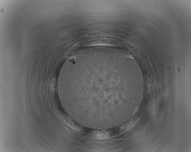 X0000063460275200601271612