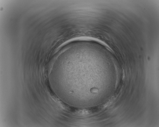 X0000063460276200601271612