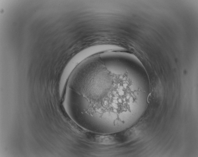 X0000063460277200601271612