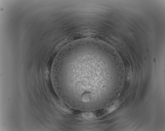 X0000063460279200601271612