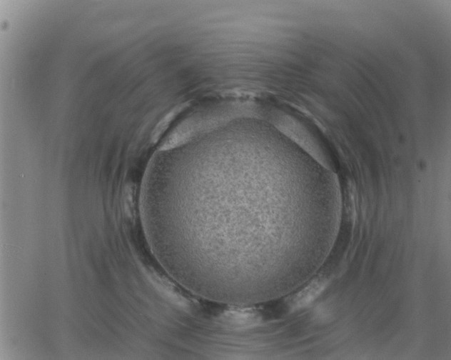 X0000063460280200601271612