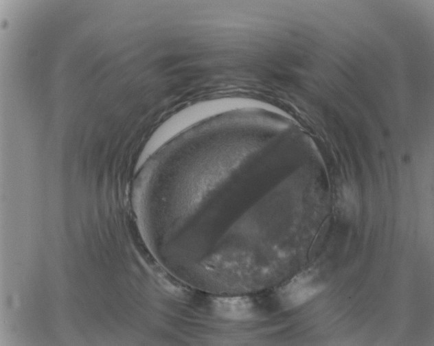 X0000063460281200601271612