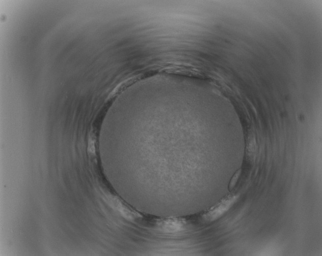 X0000063460282200601271612