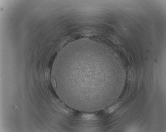 X0000063460283200601271612