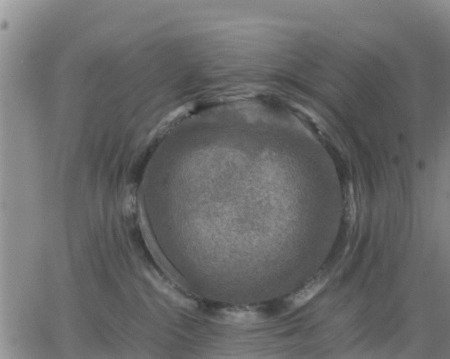 X0000063460284200601271612