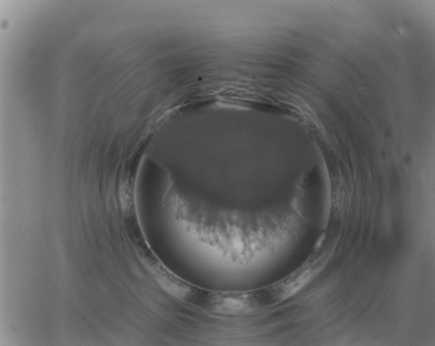 X0000063460285200601271612