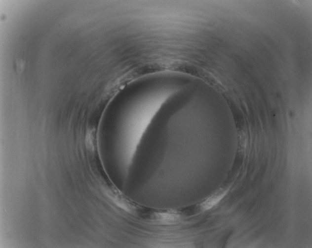 X0000063460286200601271612