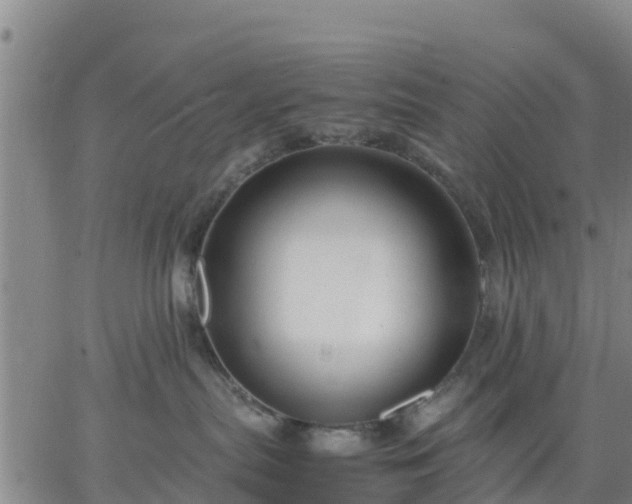 X0000063460287200601271612