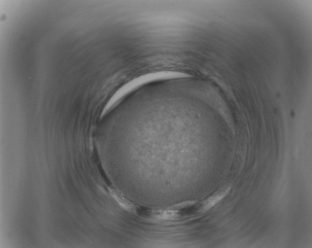 X0000063460288200601271612