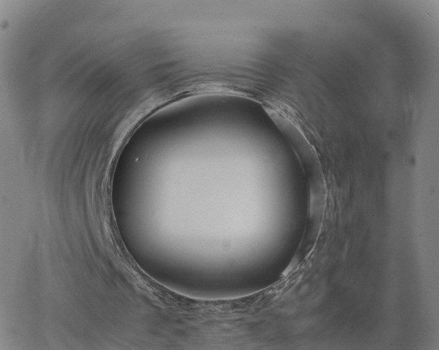 X0000063460289200601271611