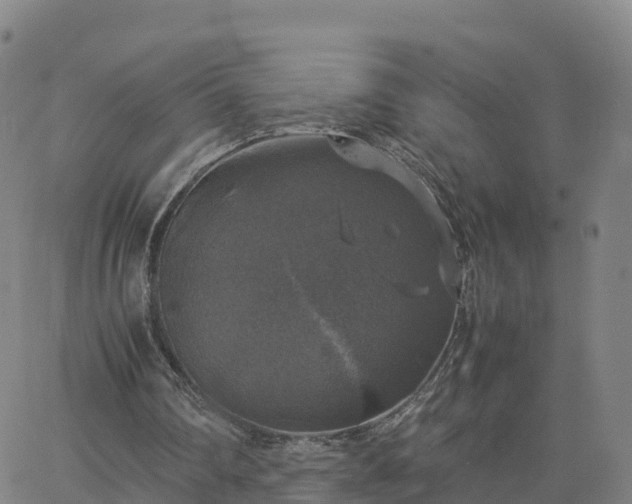 X0000063460290200601271611