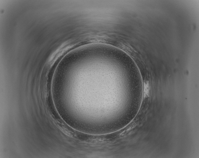 X0000063460291200601271611