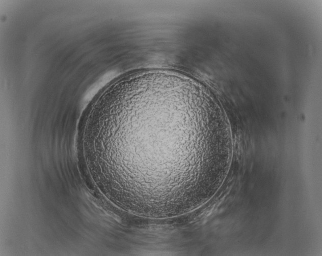 X0000063460292200601271611