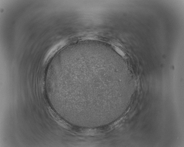 X0000063460293200601271611