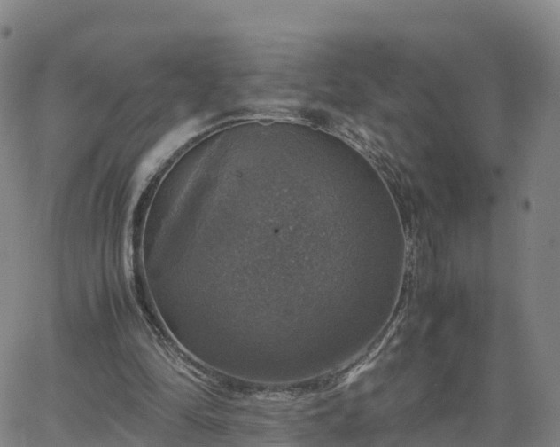 X0000063460294200601271611