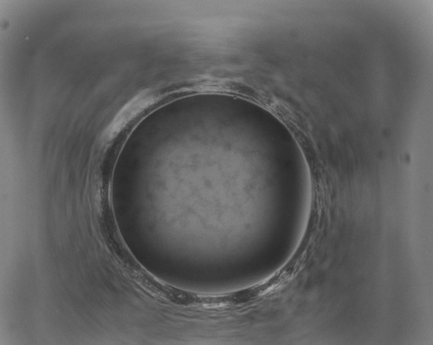 X0000063460295200601271611