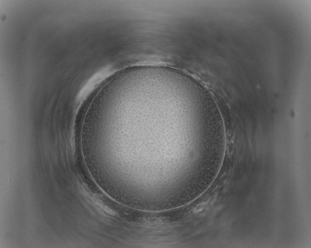 X0000063460296200601271611