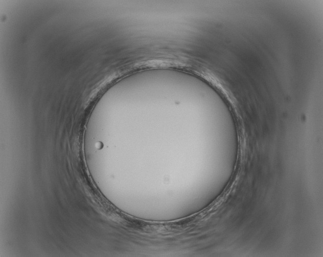 X0000063460297200601271611