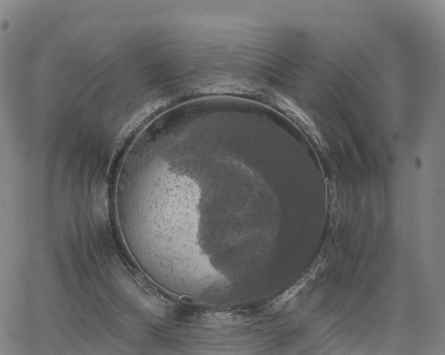 X0000063460298200601271611