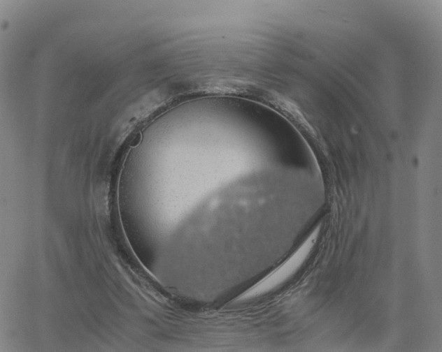 X0000063460299200601271611